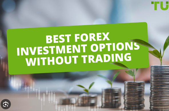 MyFX Markets Review: Forex Broker Overview